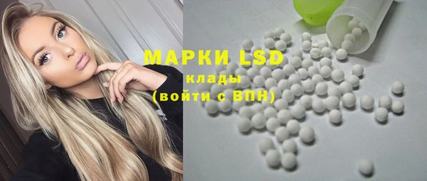 ПСИЛОЦИБИНОВЫЕ ГРИБЫ Алзамай