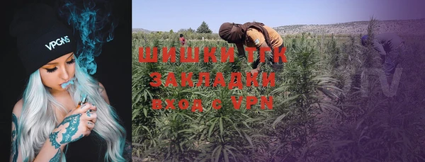 прущая мука Вяземский