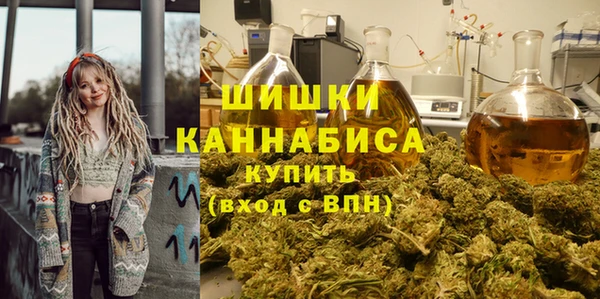 PSILOCYBIN Абаза