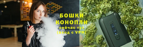 ПСИЛОЦИБИНОВЫЕ ГРИБЫ Алзамай