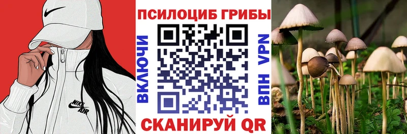 купить цена Сольвычегодск Галлюциногенные грибы Cubensis